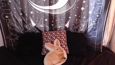 Snapshot of isabella__dark chatting on January 3, 7:29 pm    online show from January 3, 7:29 pm
