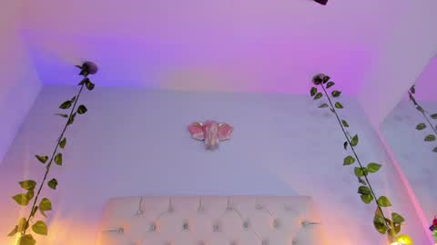   online show from January 8, 3:19 am