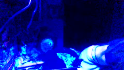 Girlnextdoor online show from March 25, 10:43 am