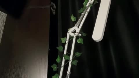 ivyvibe online show from February 8, 3:37 pm