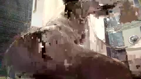 Snapshot of izcah_g chatting on January 6, 10:13 am Izcah online show from January 6, 10:13 am
