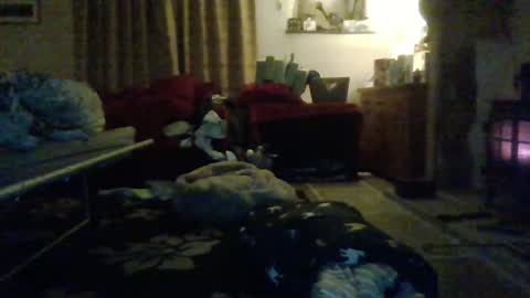 J4ckcock online show from January 1, 12:43 am