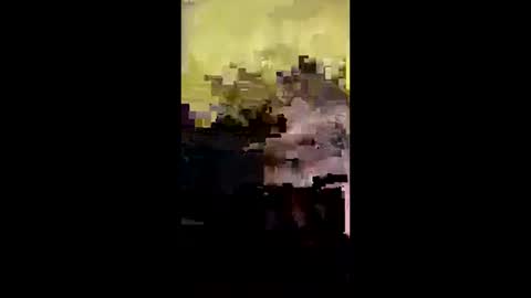 Snapshot of j557894 chatting on October 14, 5:08 am j557894 online show from October 14, 5:08 am