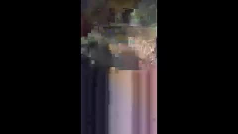 Snapshot of j557894 chatting on October 31, 8:15 am j557894 online show from October 31, 8:15 am