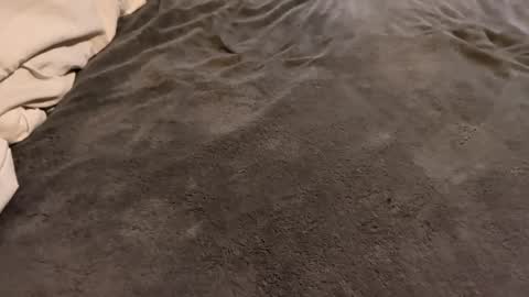 j_m12397 online show from February 27, 3:17 am