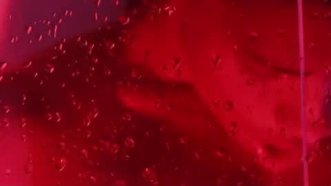 i am juan musiry independent model  online show from November 22, 12:04 pm