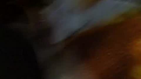 speedy online show from February 1, 10:03 am