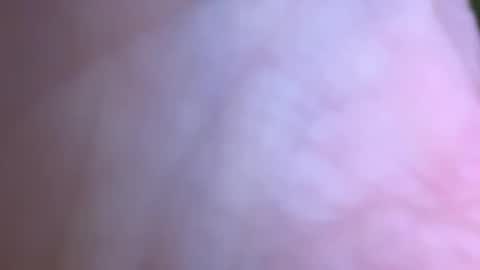 jackjackerman online show from May 16, 2:49 pm