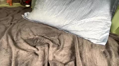 Snapshot of jacksbunnys chatting on January 14, 11:10 am jacksbunnys online show from January 14, 11:10 am