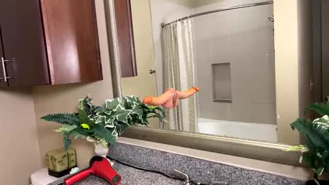 Jack Xavier  Missy online show from February 12, 3:45 am