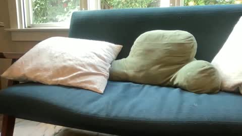 jack online show from December 14, 6:34 pm