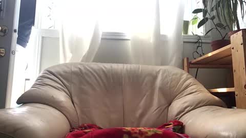 Snapshot of jacobmotes chatting on February 14, 4:59 pm Jacob online show from February 14, 4:59 pm