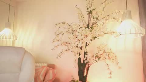 Jade Summer online show from November 4, 11:31 am