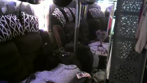 Snapshot of jaebaegoandslay chatting on February 9, 10:53 am Jamie Rose Queenschild ever... online show from February 9, 10:53 am