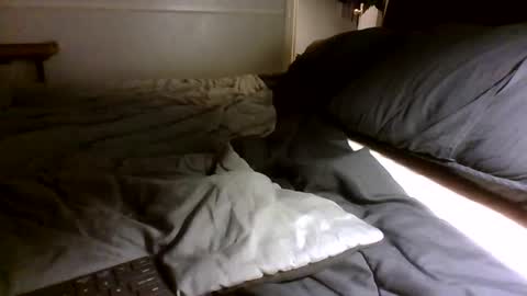 Jamacian online show from September 30, 3:00 am