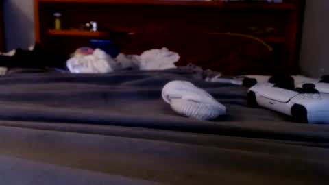 Snapshot of james30cup chatting on September 20, 2:23 am what you in too online show from September 20, 2:23 am