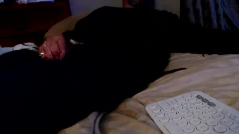 Snapshot of james30cup chatting on December 2, 8:19 am what you in too online show from December 2, 8:19 am