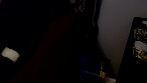 Snapshot of james30cup chatting on January 8, 7:54 am what you in too online show from January 8, 7:54 am