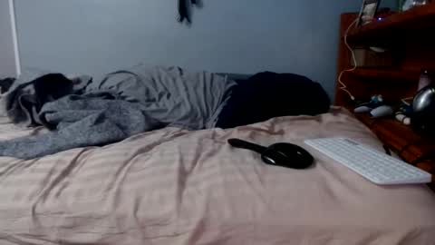 Snapshot of james30cup chatting on February 16, 1:29 pm what you in too online show from February 16, 1:29 pm