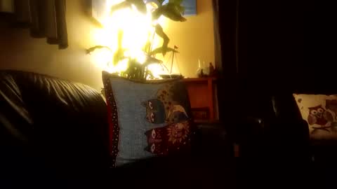 jamesloveridge901 online show from October 25, 2:24 pm