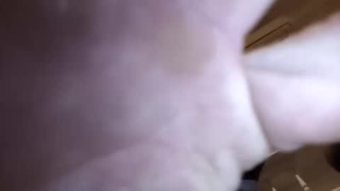 jamesloveridge901 online show from April 2, 8:56 am