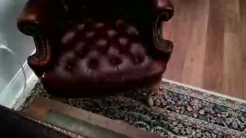 Snapshot of jamespembroke chatting on September 17, 7:15 pm James Pembroke at your service online show from September 17, 7:15 pm