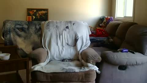 Snapshot of jameswolf777 chatting on September 9, 5:34 pm jameswolf777 online show from September 9, 5:34 pm