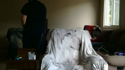 Snapshot of jameswolf777 chatting on September 27, 2:44 pm jameswolf777 online show from September 27, 2:44 pm