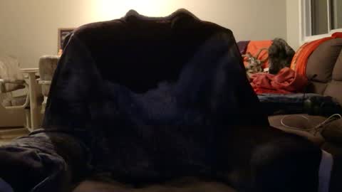 Snapshot of jameswolf777 chatting on November 12, 8:48 am jameswolf777 online show from November 12, 8:48 am