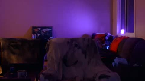 Snapshot of jameswolf777 chatting on December 19, 11:17 am jameswolf777 online show from December 19, 11:17 am