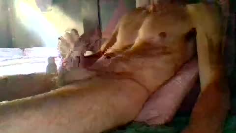 janzibor online show from July 6, 12:46 pm