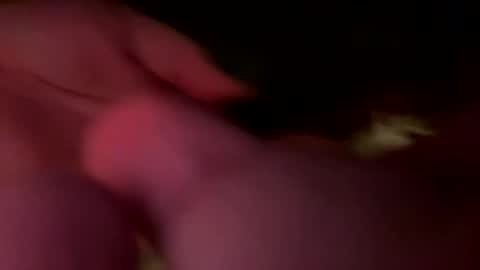 Snapshot of jawssharkparty chatting on February 21, 7:09 am Jaws online show from February 21, 7:09 am