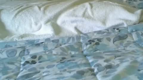jaxman1952 online show from July 23, 9:02 pm