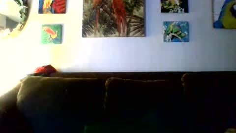 jay-jay1475 online show from February 11, 9:42 pm