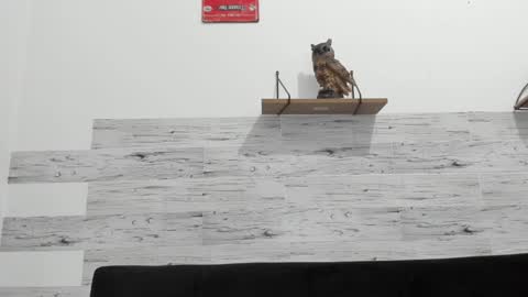 Jaycreedd online show from January 3, 4:55 am