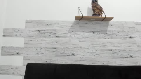 Jaycreedd online show from February 11, 2:57 am