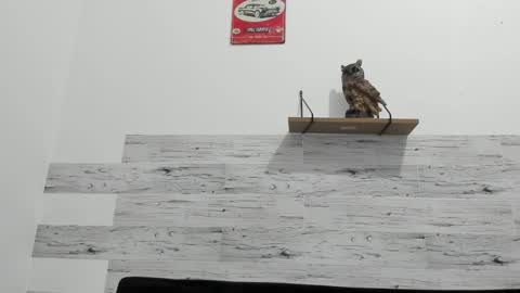 Jaycreedd online show from February 22, 3:23 am