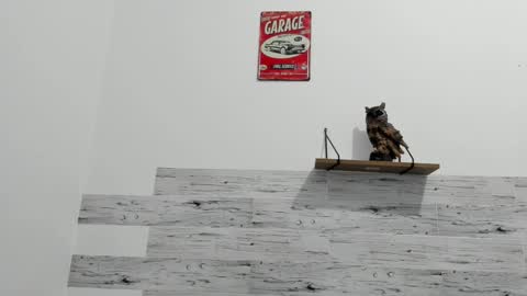 Jaycreedd online show from February 23, 3:56 am