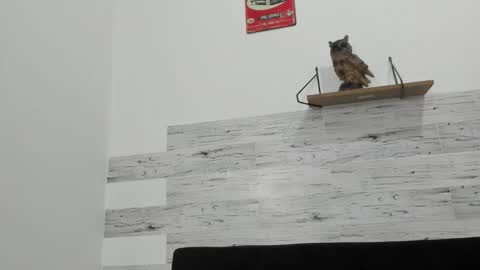 Jaycreedd online show from October 5, 1:26 am