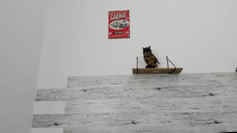 Snapshot of jaycreedd chatting on March 3, 5:08 pm Jaycreedd online show from March 3, 5:08 pm