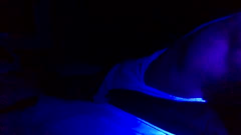 Snapshot of jaysobricked chatting on February 1, 6:00 am Jaysobricked online show from February 1, 6:00 am