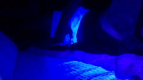 Snapshot of jaysobricked chatting on February 7, 6:35 am Jaysobricked online show from February 7, 6:35 am