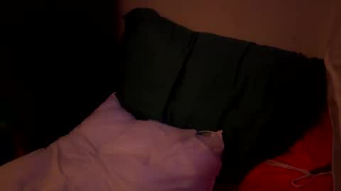 Snapshot of jaysobricked chatting on October 6, 11:40 am Jaysobricked online show from October 6, 11:40 am