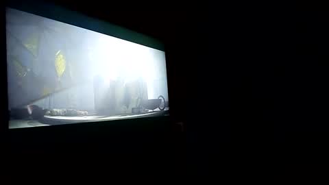 Snapshot of jayyjayyy6 chatting on February 28, 7:14 pm jayjay online show from February 28, 7:14 pm