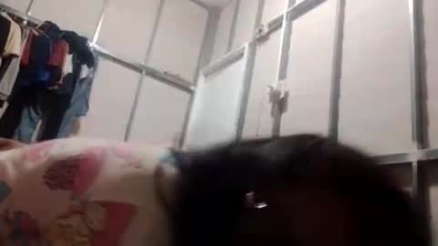 jcineylpnezy online show from October 20, 10:21 pm