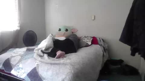 jd852013 online show from February 11, 5:29 pm