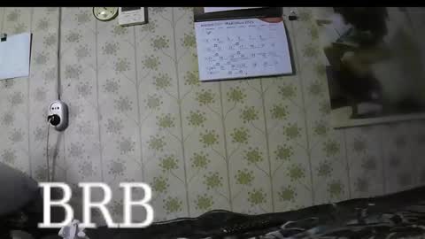 Snapshot of jellykulli chatting on March 3, 4:24 pm jellykulli online show from March 3, 4:24 pm