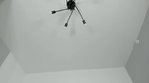 Dolly online show from February 2, 7:25 pm