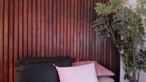     online show from December 4, 12:03 pm