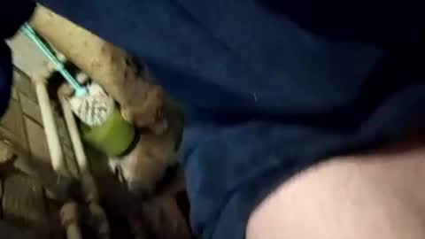 Join me online show from February 8, 1:33 pm